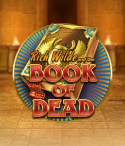 Enter the thrilling world of Book of Dead by Play'n GO, featuring vivid graphics of Rich Wilde's journey through ancient Egyptian tombs and artifacts. Find lost riches with exciting mechanics like free spins, expanding symbols, and a gamble option. Ideal for adventure seekers with a desire for thrilling discoveries.